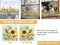 Sunflower Butterfly Bee Window Cling Spring Summer Garden Flower (Sunflower)